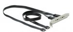 Delock-Staffa-per-slot-USB-3.1-Gen-2-con-2-porte-USB-di-tipo-C