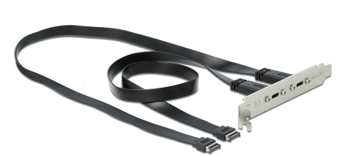 Delock-Staffa-per-slot-USB-3.1-Gen-2-con-2-porte-USB-di-tipo-C