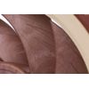 Ventola-Sterrox-NF-A12x25-ULN