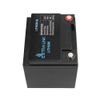 Extralink-LiFePO4-40AH--Accumulatore-Batteria--12.8V-BMS