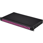Renkforce Patchbox-Frontblende 24 Port UnbestÃ¼ckt Renkforce (RF-3783844)