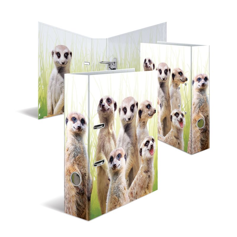 Cartella-con-motivi-HERMA-dorso-largo-7-cm-motivo-in-cartone-DIN-A4