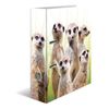 Cartella-con-motivi-HERMA-dorso-largo-7-cm-motivo-in-cartone-DIN-A4