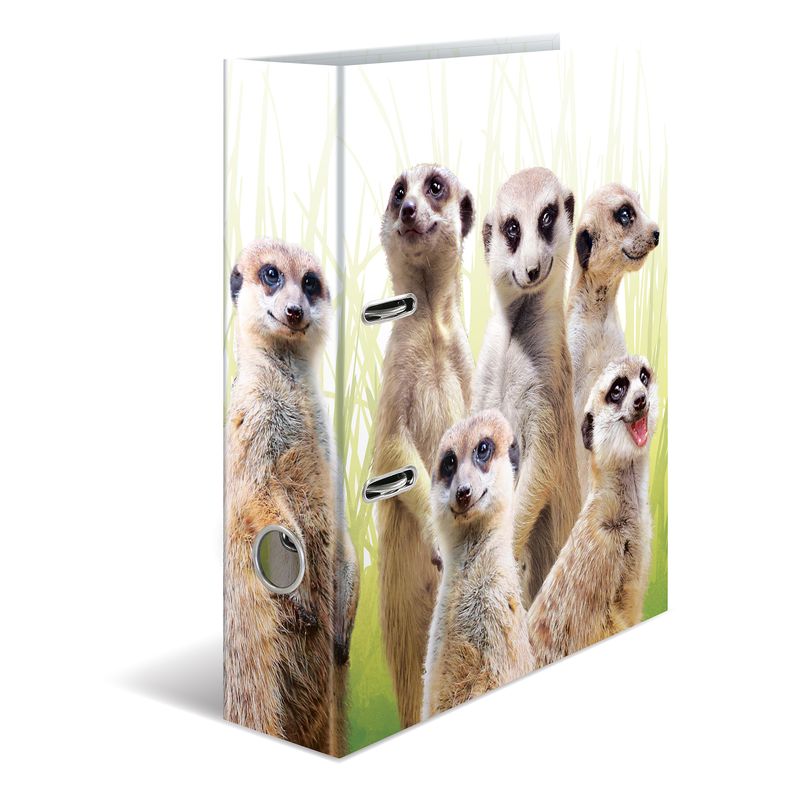 Cartella-con-motivi-HERMA-dorso-largo-7-cm-motivo-in-cartone-DIN-A4