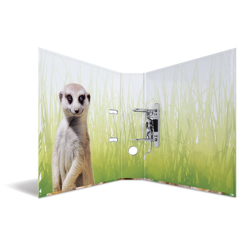 Cartella-con-motivi-HERMA-dorso-largo-7-cm-motivo-in-cartone-DIN-A4