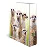 Cartella-con-motivi-HERMA-dorso-largo-7-cm-motivo-in-cartone-DIN-A4