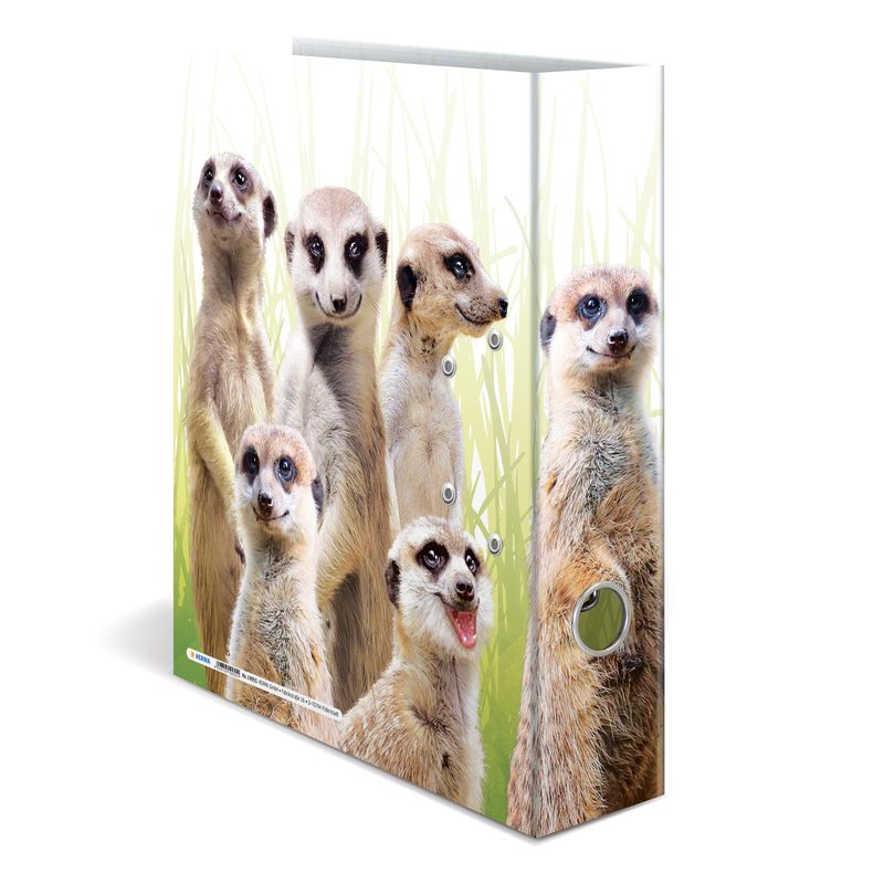 Cartella-con-motivi-HERMA-dorso-largo-7-cm-motivo-in-cartone-DIN-A4