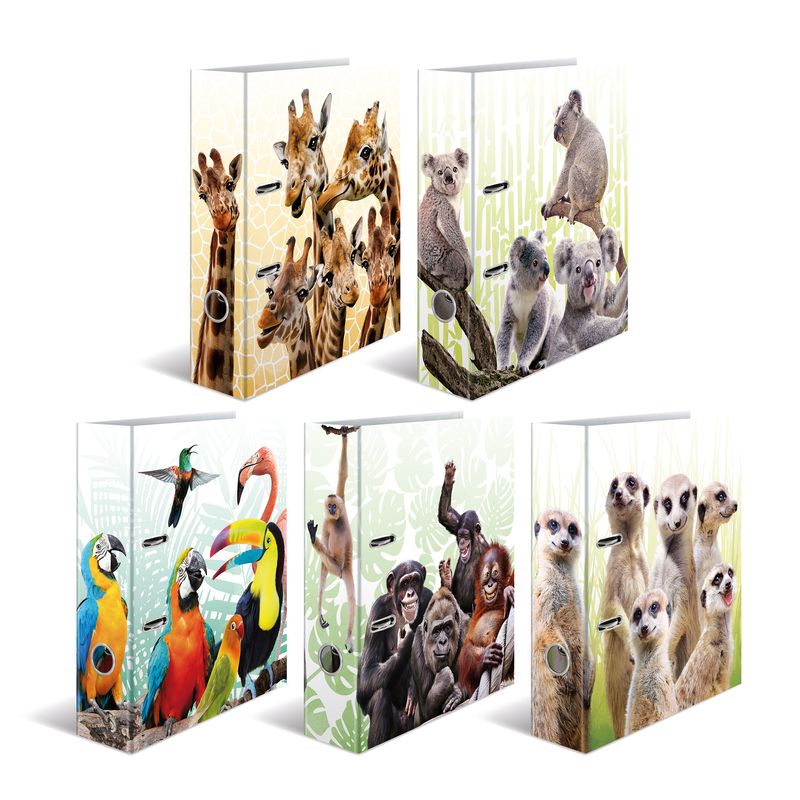 Cartella-con-motivi-HERMA-dorso-largo-7-cm-motivo-in-cartone-DIN-A4